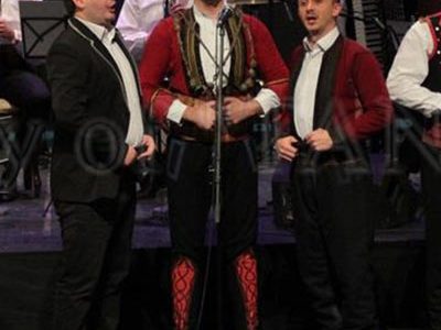 Танец музичко вокални изведби и концерти